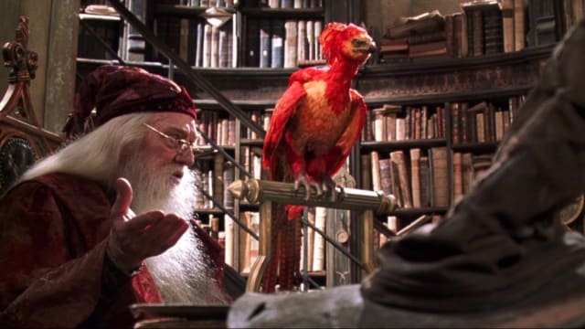 Are you wizard enough to tame a magical creature into a pet? Dumbledore did it with Fawkes....let's see which magical creature would be your pet!