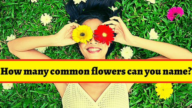 Are you a flower genius? These 14-questions test will determine if you are in bloom or not.