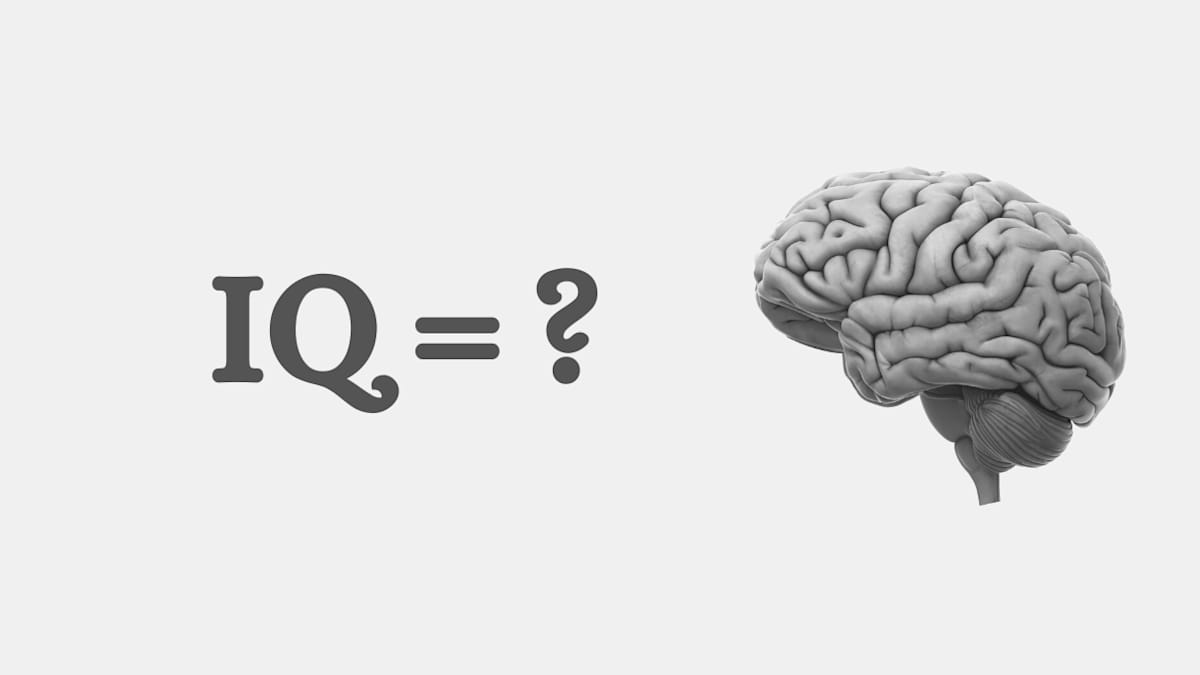 Dirty Mind Test New questions every time you take the test quiz mode with a timer, interactive hints, and a dirty mind diagnosis dirty mind test