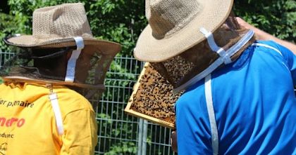 What Happened To These Homeless Men In Beekeeping Program Will Stun You!