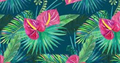 What S Your Aesthetic