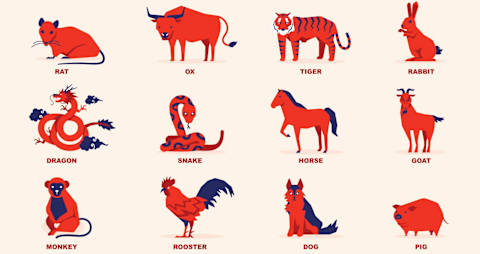 Which Sign Of The Chinese Zodiac Matches You?