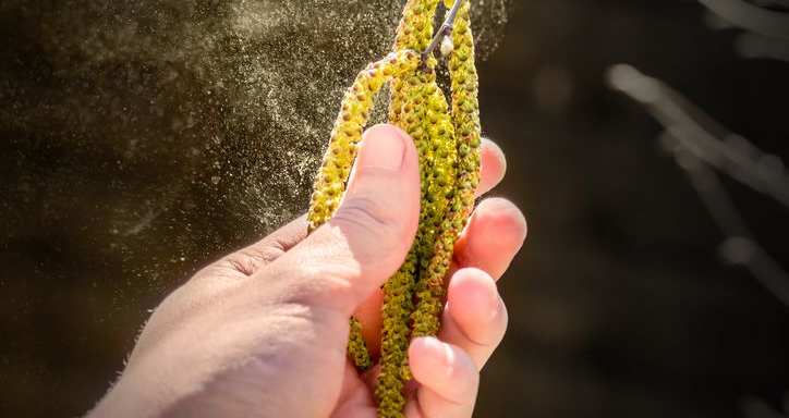 Pollen Bomb Top Tips To Ease Your Hay Fever Symptoms Uk News Sky News