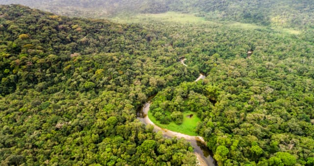 Salvar la Amazonía, para salvar la humanidad