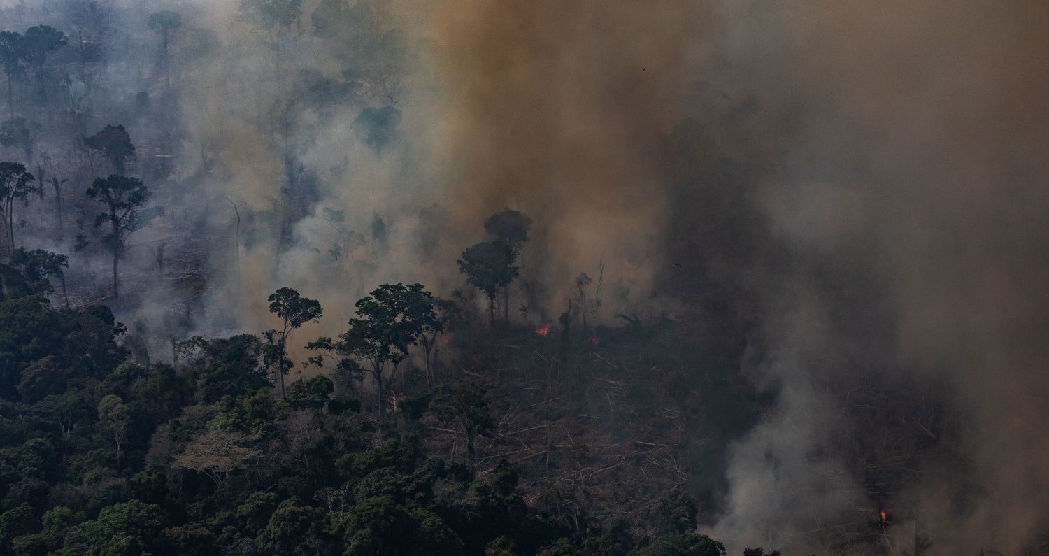 STORY: Recent Amazon Rainforest fire sparks global attention