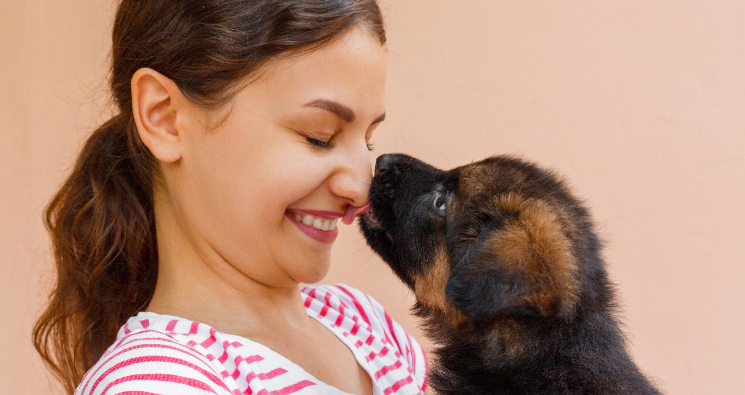 What Does it REALLY Mean When a Dog Licks You?