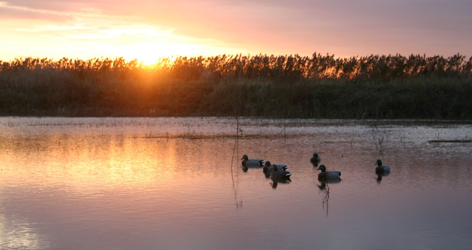 Could You Pass the Hunter Education Exam in Your State?