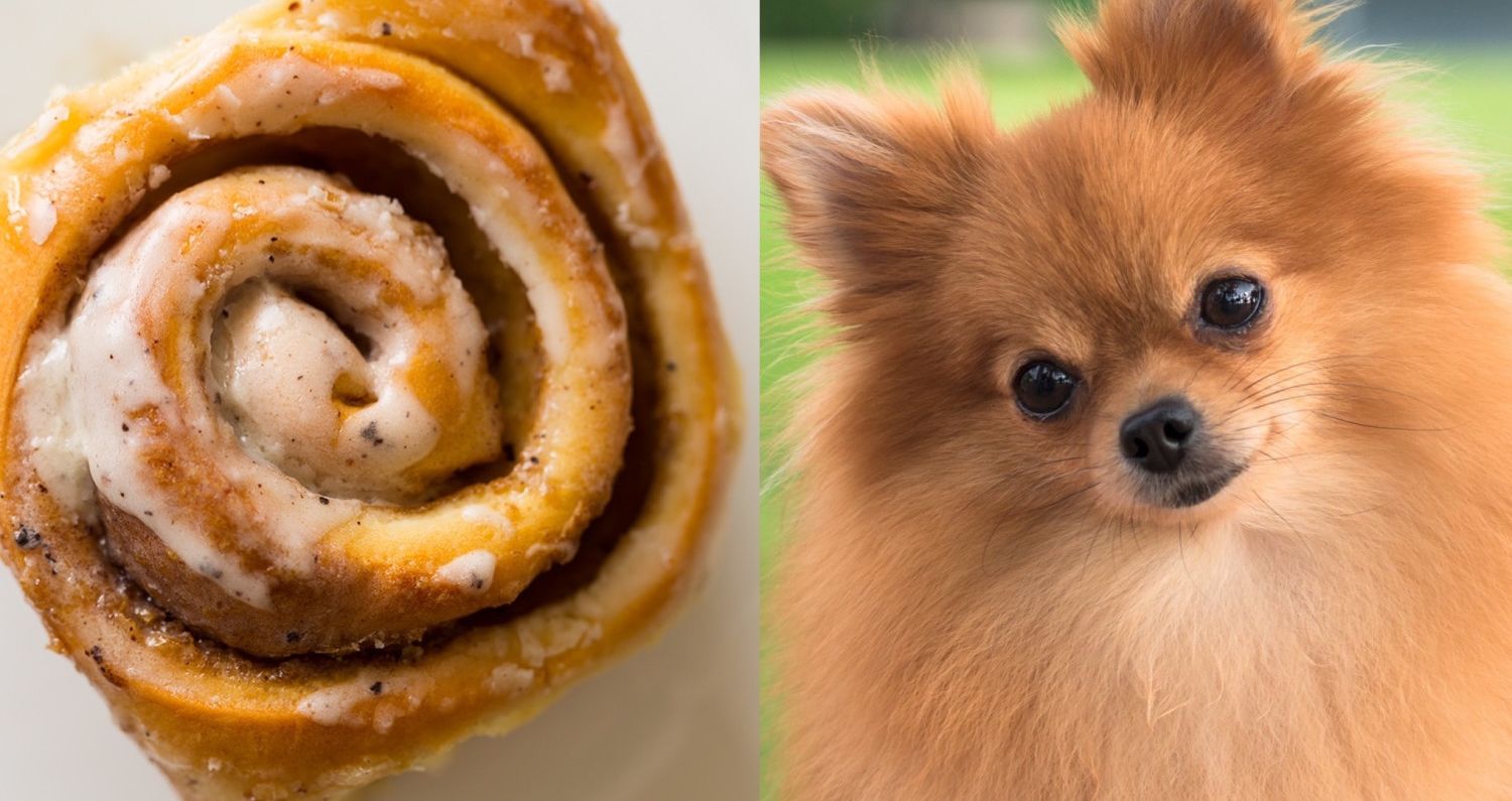 Attributed to Domenico Fetti The Good Samaritan The