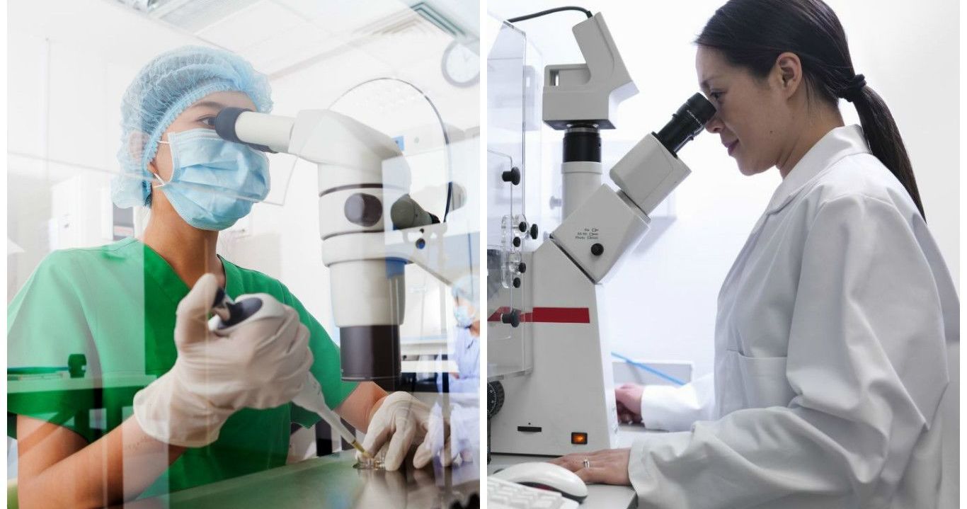 Scientists Could Soon Create Artificial Humans...