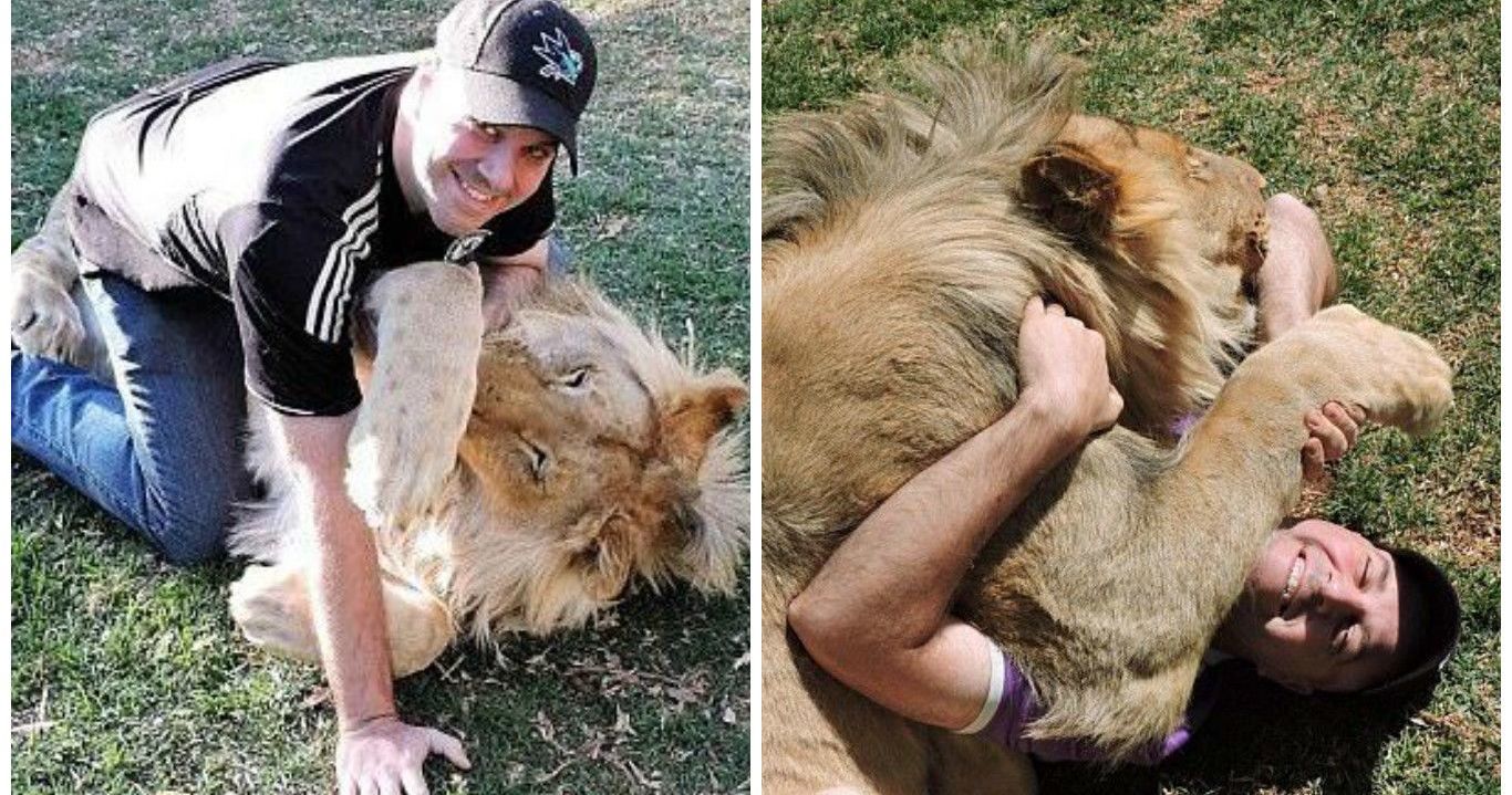 This Tourist Got Up Close And A Little Too Personal With A Lion