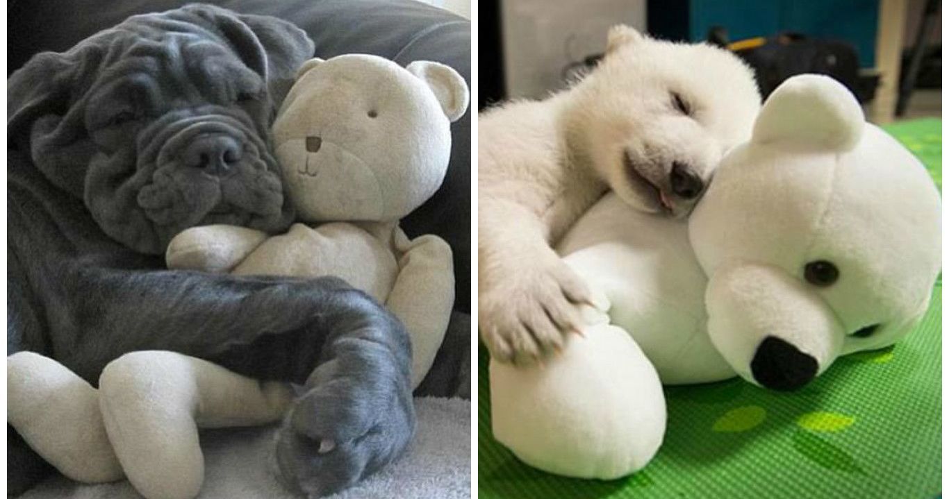 best stuffed animals for cuddling adults