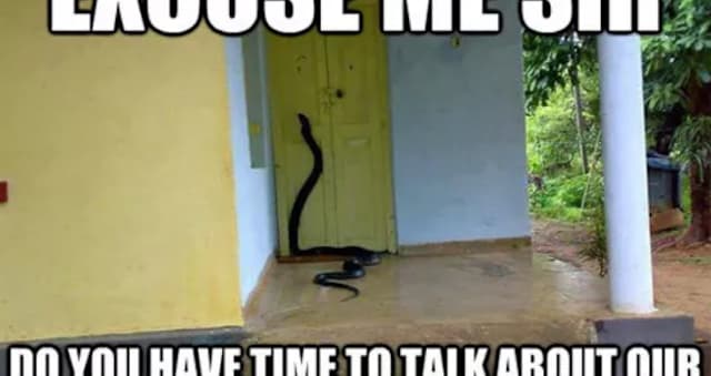 12 Hilarious Harry Potter Memes To Celebrate The Boy Wizard S 38th