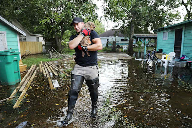Here, a man dons a pair of wading boots to carry a small dog away from its flooded home.