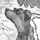 Fido