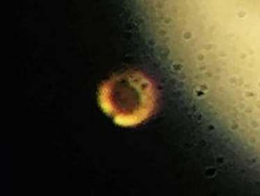 This is the holy grail of high-pressure physics. It's the first-ever sample of metallic hydrogen on Earth, so when you're looking at it, you're looking at something that’s never existed before.