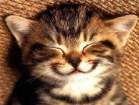 Sorria!