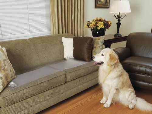 How To Keep Pets Off The Furniture