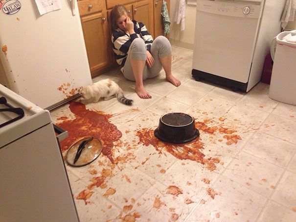 That Cat is seriously having a good time
