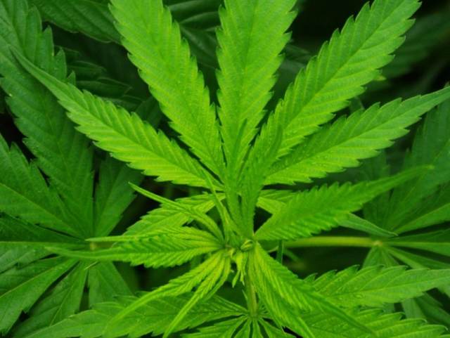 Good people don't smoke marijuana.