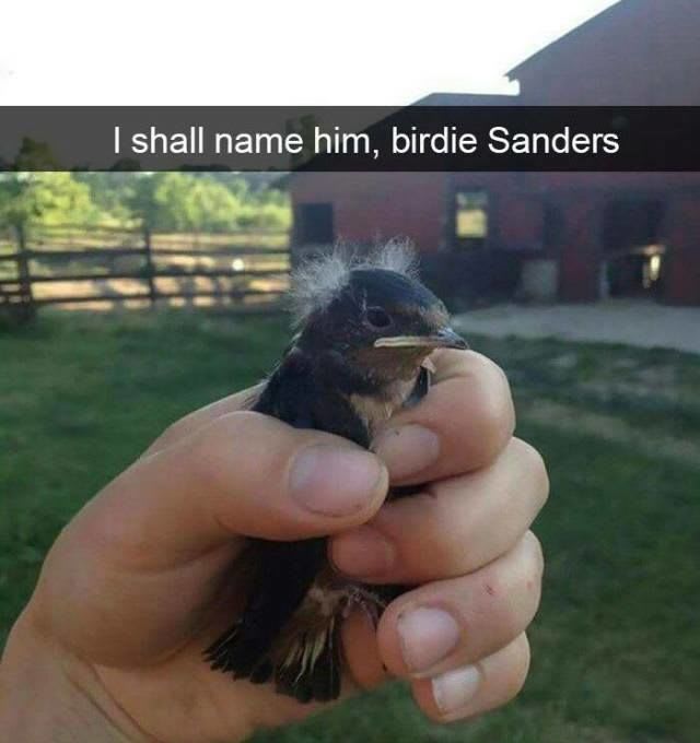 President Birdie....
