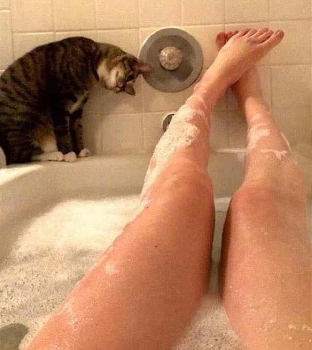 I mean, what's happening with that?