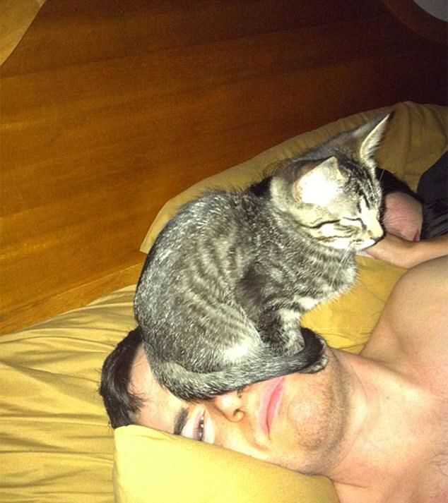 Really hope this guy has no cat allergy!