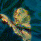 Sailor in the Sea