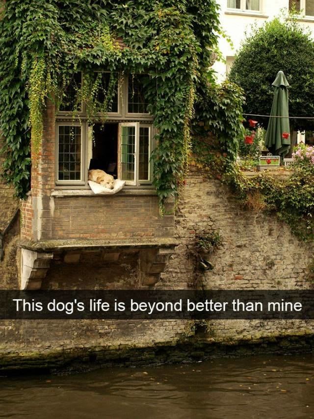 I mean honestly, Fluffers really has it figured out