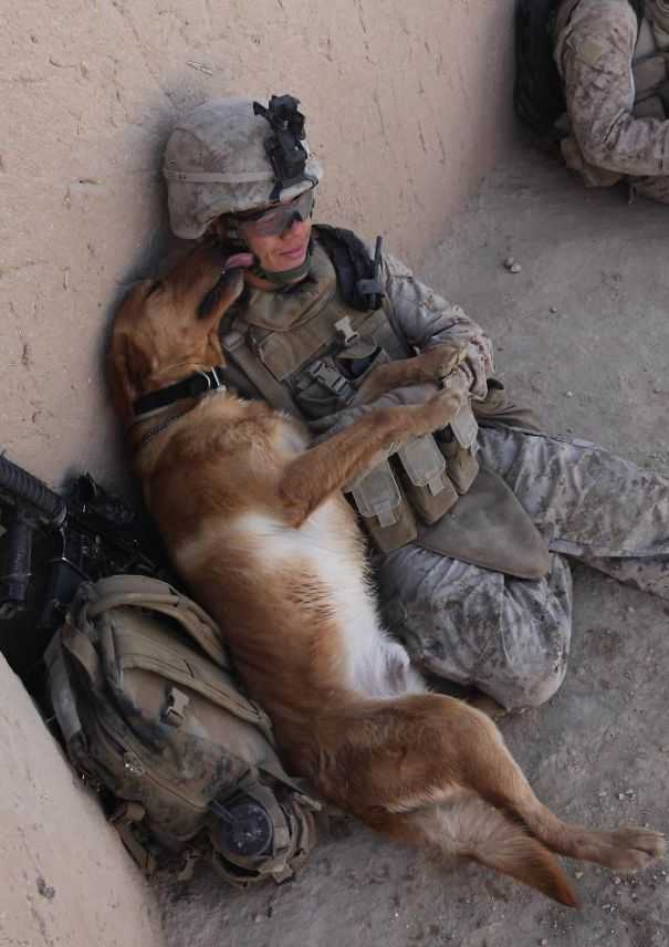 I mean would YOU follow your best friend into a war zone?