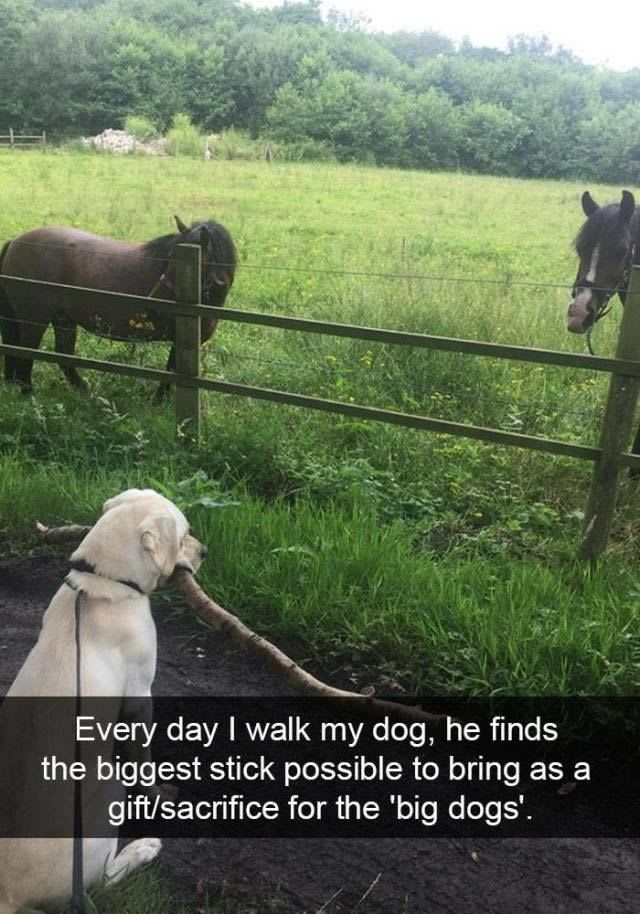 Honestly, I can't with this.