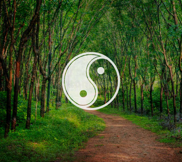 Suele malinterpretarse como las luchas entre el bien y el mal, pero se trata en realidad de la coexistencia de dos fuerzas opuestas que juntas se complementan. Significan luz (yang) y oscuridad (yin). El concepto se utilizó por primera vez en el siglo VI en un libro no religioso titulado “el libro de los cambios”, que narraba preceptos del taoísmo. 
