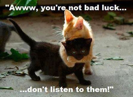 Friday 13th Memes Very Superstitious These Will Make You Feel A Whole Lot Better Mirror Online