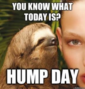 Happy Wednesday 20 Hilarious Hump Day Memes To See You Through To The Weekend Mirror Online