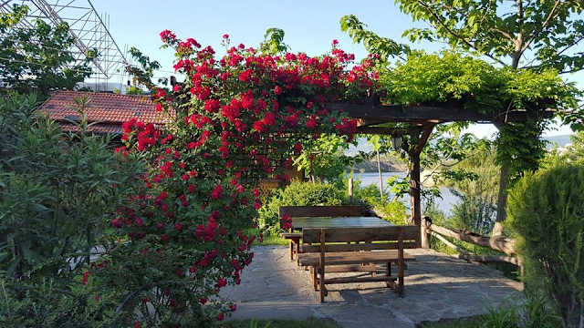 лучший шашлык в тбилиси. Смотреть фото лучший шашлык в тбилиси. Смотреть картинку лучший шашлык в тбилиси. Картинка про лучший шашлык в тбилиси. Фото лучший шашлык в тбилиси лучший шашлык в тбилиси. Смотреть фото лучший шашлык в тбилиси. Смотреть картинку лучший шашлык в тбилиси. Картинка про лучший шашлык в тбилиси. Фото лучший шашлык в тбилиси