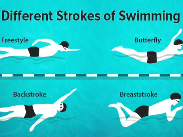 How much do you know about Swimming? | Playbuzz freestyle stroke diagram 