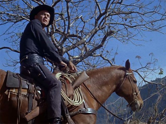 Do You Remember The Original Magnificent Seven? | Playbuzz