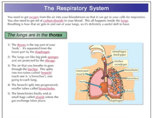 Do You Still Need The CGP Science Books? | Playbuzz