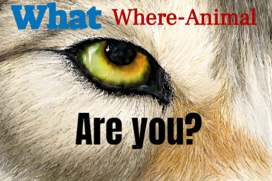 What Kind of Were-Animal Are You?