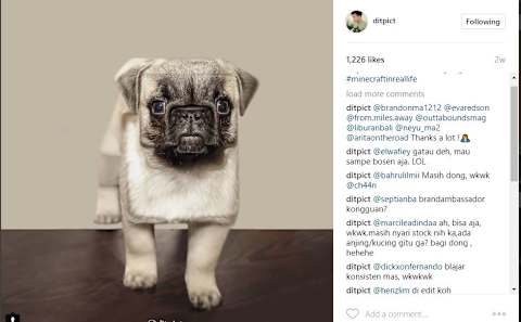 Stop Everything Do You Know What Kind Of Animal This Is