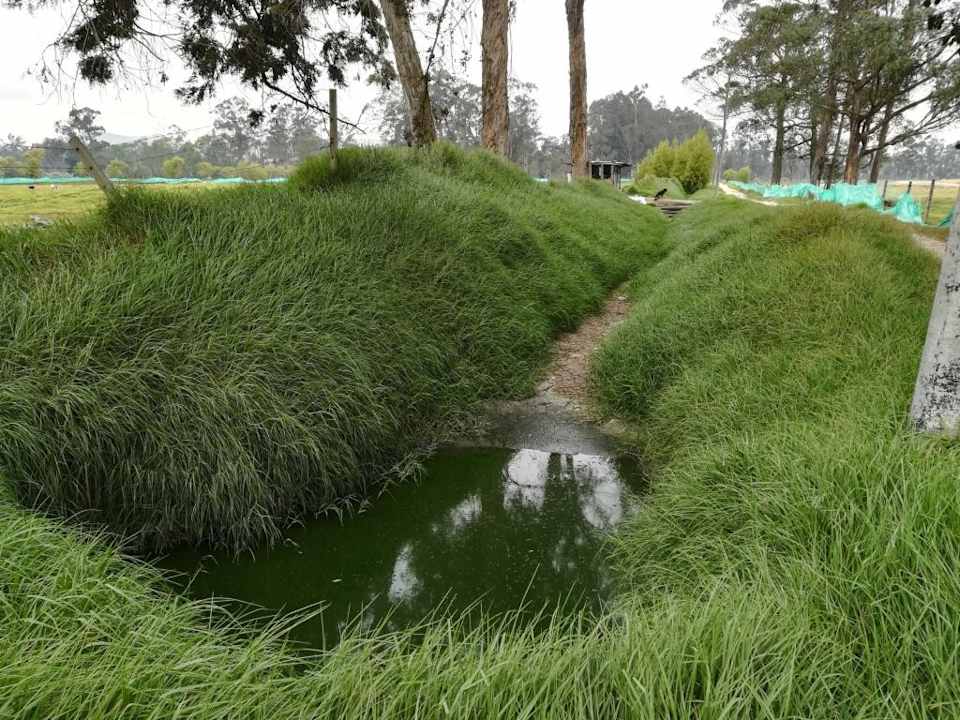 El Humedal La Isla es un área protegida de la Estructura Ecológica Principal del Distrito Capital con 7.77 hectáreas, se ubica al sur occidente de Bogotá en la localidad de Bosa. Allí se encuentra vegetación de tipo arbóreo, hay pasto kikuyo, sauce, eucalipto y otras especies vegetales y también animales.
