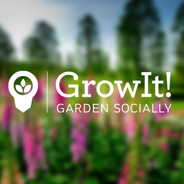 GrowIt’s Plant Masters are the community's plant knowledge superheroes but even superheroes need practice every once in a while! Take this quiz to see if you're on top of your GrowIt! skills.