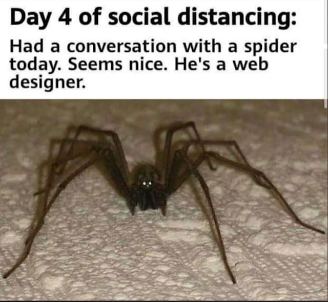 Hey I'm not doing anything, let's have a chat, spidey.