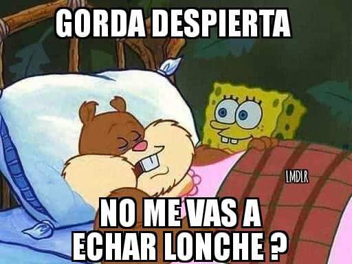 Memes De Jonas Brothers Bob Esponja Y Mas Pandaancha Mx