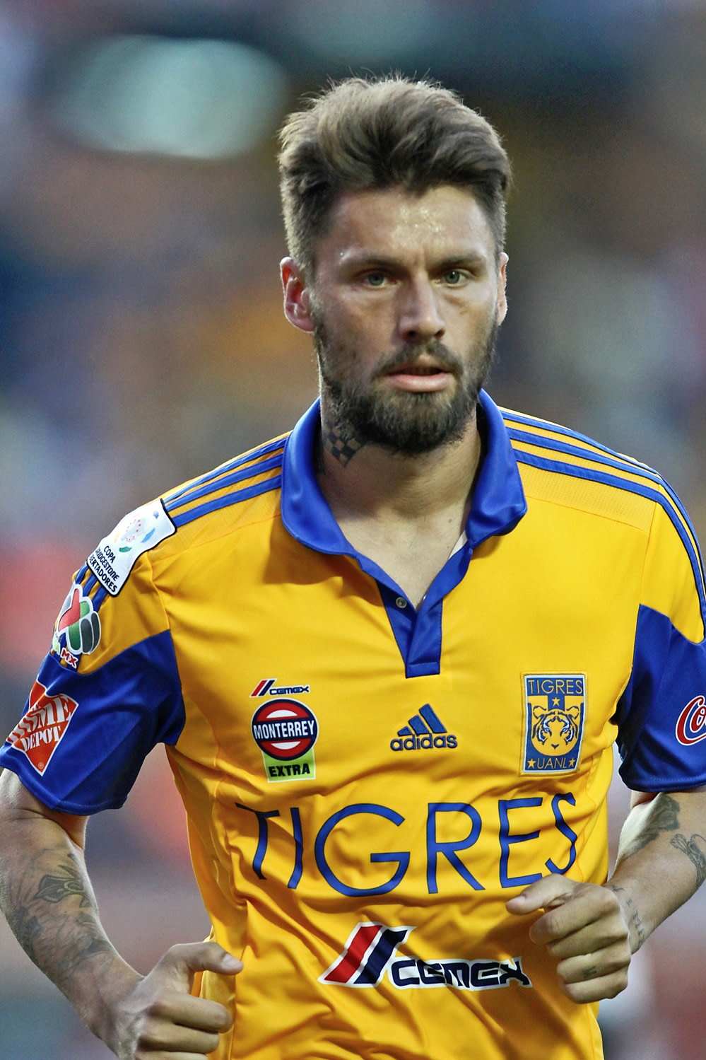 Con Cual Te Quedas De Tigres Y Rayados