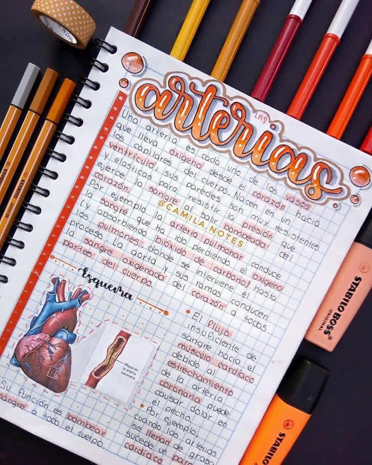 Ideas Super Cool Para Tener Apuntes Bonitos En Tus Clases Trendybynick Dibujos para dibujar a lapiz faciles para niños archivos. tener apuntes bonitos en tus clases