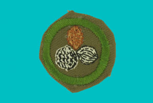 To acquire a badge in Nut Culture, kids would literally have to culture nuts, like grow nuts and other legumes in their back yards. Fortunately for kids with peanut allergies, this badge was discontinued in 1954.