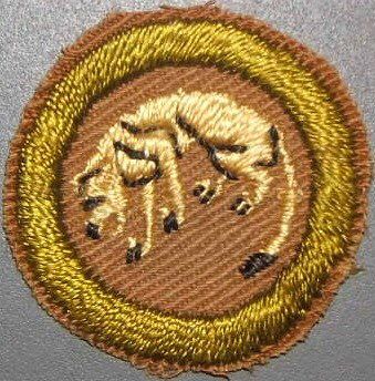 No, the predator on this badge is not meant to be the boy scout but the animal he was responsible for stalking through the woods. This was not, however, a hunting badge. Scouts had to identify footprints, follow an animal for one quarter mile, and photograph it before it could run away.
