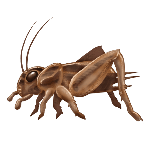 This is not Jiminy. Do not engage.