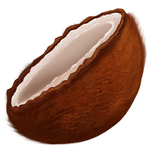 Consider the coconut...