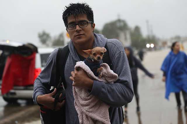 This man carries his pet chihuahua out of the flood, wrapped in a blanket and sweater to keep him from hypothermia.
